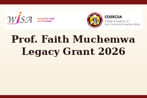 Call for Applications: Prof. Faith Muchemwa Legacy Grant 2026